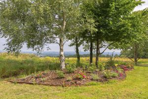 Photo 31- click for photo gallery